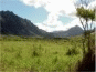 Digital Picture Gallery - Left Animated Banner GIF