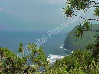 View of Kohala Coast from Makapala, Big Island, Hawaii
