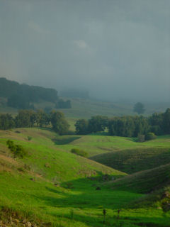 Kula Pasture Lands in Cloudy Mist off Haleakala Highway.