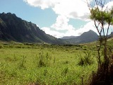 Kaaawa Valley, Oahu, Hawaii